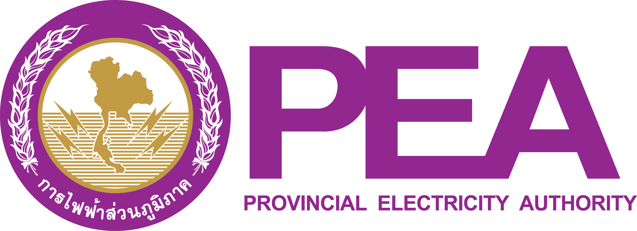Provincial Electricity Authority